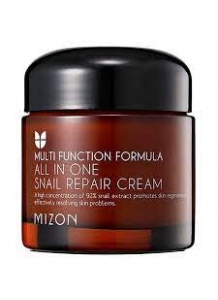 MIZON - All In One Snail Repair Cream 75ml 