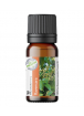 Naturally Thinking - Ravensara essential oil 30ml